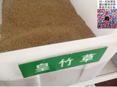 買皇竹草多少錢一斤合算？